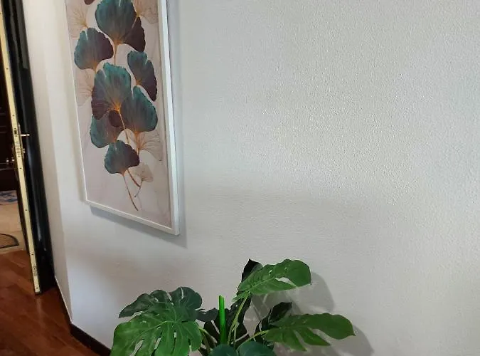 Apartmán Acogedora En *