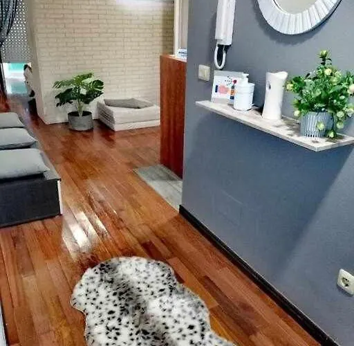 Acogedora En Apartmán Vigo